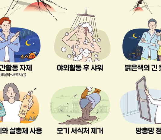 말라리아 매개모기 증가…전국에 ‘말라리아 주의보’ 발령