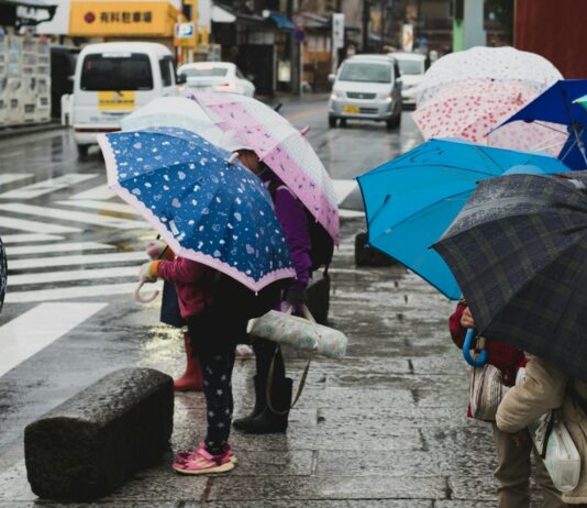 여름철 생활용품 안전성 조사…어린이제품 리콜 비중 높아 people holding umbrella on sidewalk
