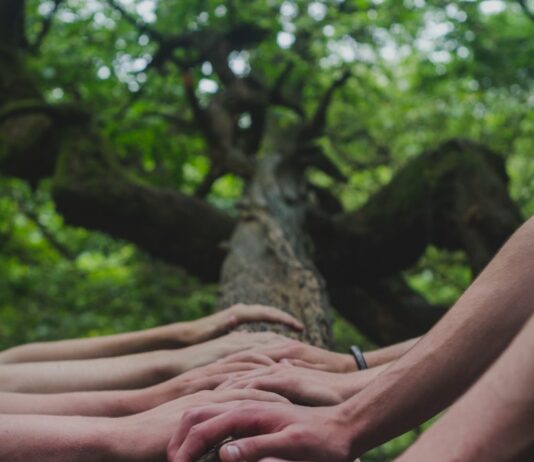 신체 활동의 사회적 혜택: 커뮤니티와 연결 a group of people holding hands on top of a tree