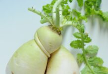 제철 채소로 준비하는 건강한 한 끼 white garlic on white surface