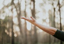 안정적인 삶은 무엇일까? tilt shift lens photography of person lifting hand