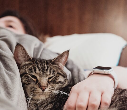 MZ세대, 수면도 과학적으로…‘슬립테크’ 인기 person holding gray tabby cat while lying on bed