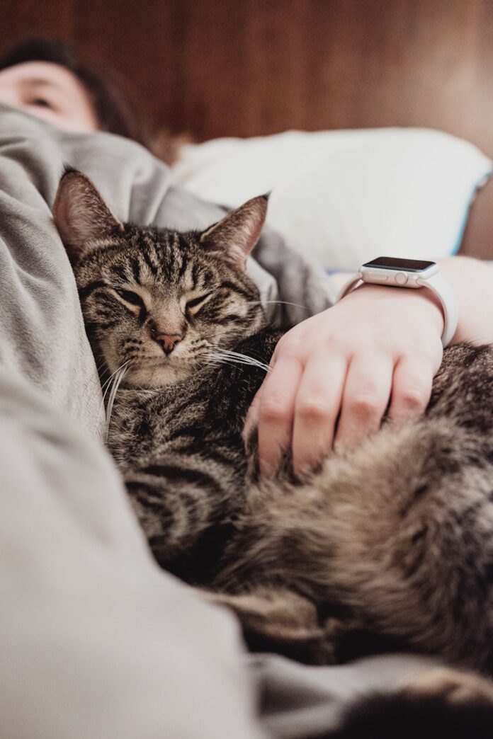 Photo by Chris Abney person holding gray tabby cat while lying on bed
