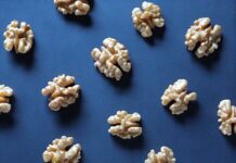 뇌 건강 지키고 치매 예방하는 생활 습관 5가지 white and brown flower petals