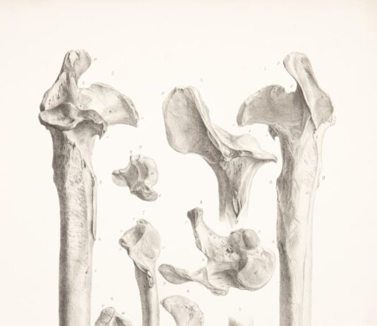 골다공증 예방, 튼튼한 뼈 건강을 위한 생활습관 가이드