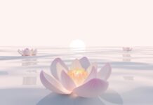 “내 몸에 맞는 대체요법, 일상에서 실천하기” Pink lotus flowers floating on serene water at sunrise