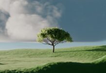 바쁜 일상 속 ‘마음챙김’이 뜬다… 실생활에서 실천하는 정신건강 루틴 A single tree on a vibrant green rolling hill.
