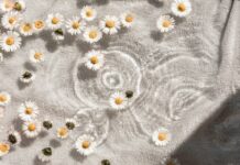 “나를 위한 작은 변화, 웰니스 문화가 일상에 스며든다” white and blue floral textile